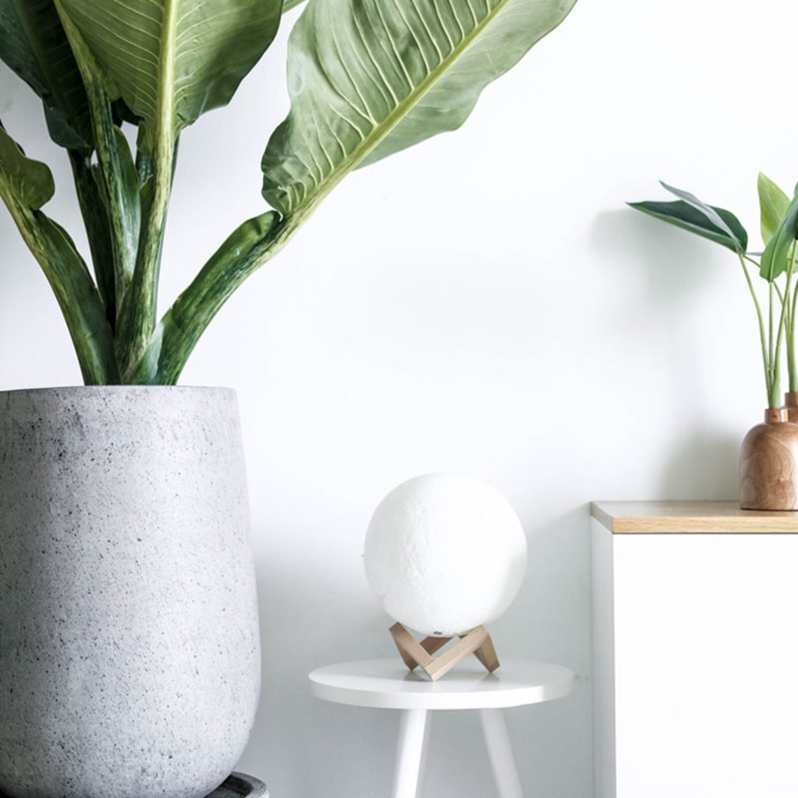 Design-Nation Publishes &rsquo;20 Makers, 20 Objects&rsquo;